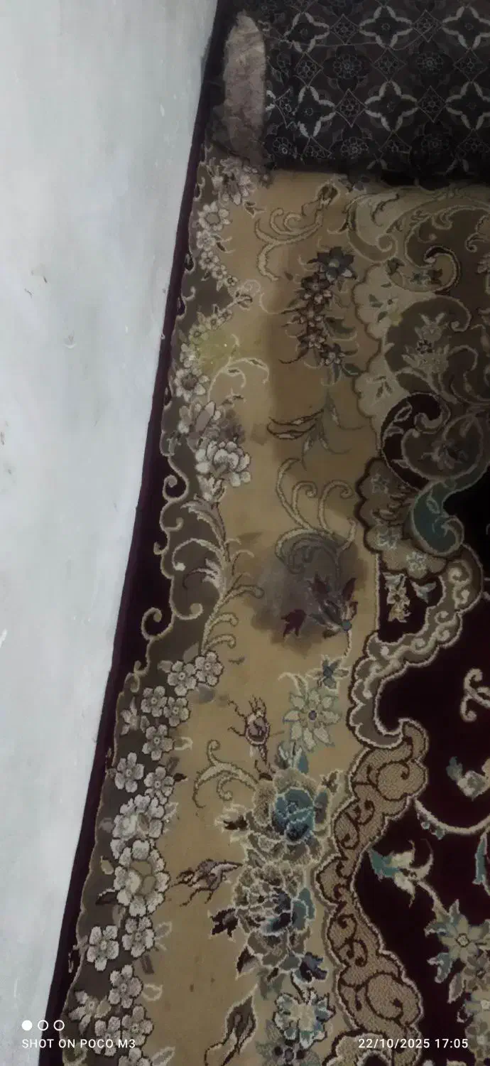 فرش برای باغ و ویلا|فرش|خاوران, |دیوار