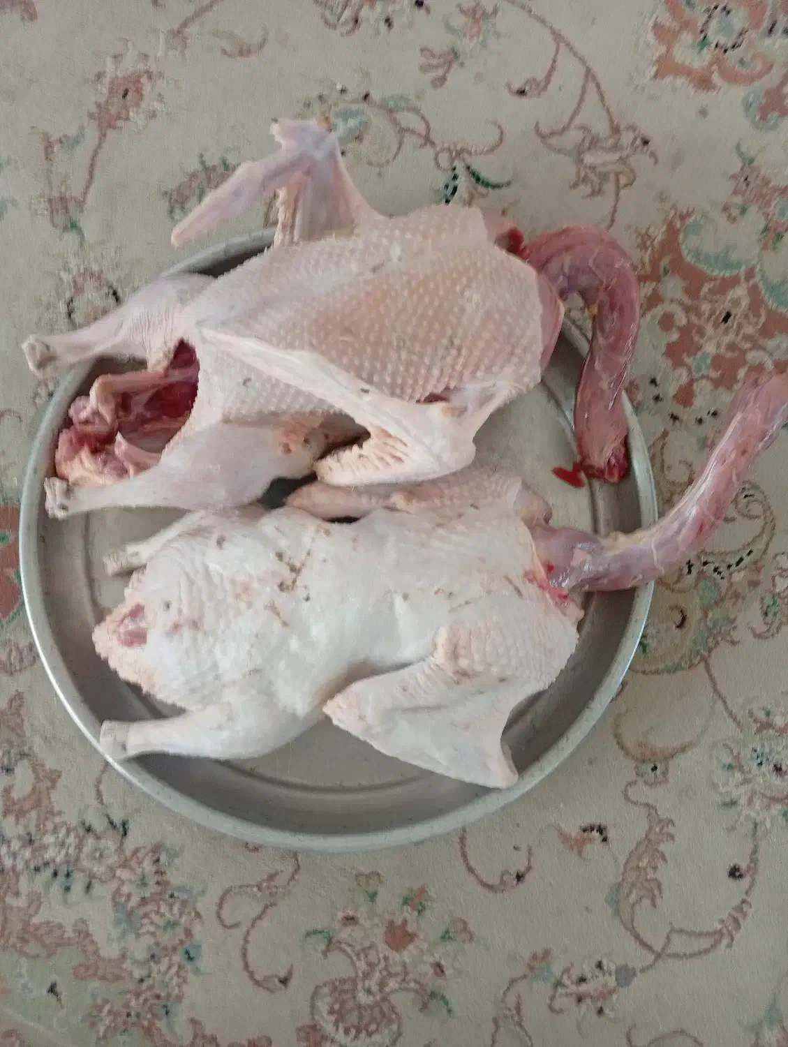 اردک بالغ سنگین مناسب کشتار و تخم نطفه دار اردک|حیوانات مزرعه|لاهیجان, لفمجان|دیوار