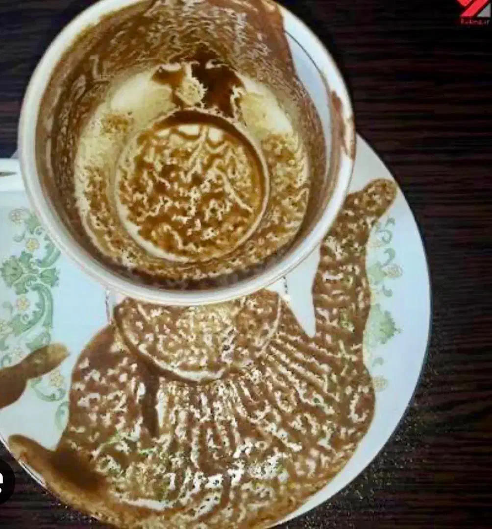 فال تاروت و قهوه|خدمات پذیرایی، مراسم|نجفآباد, سعدی|دیوار