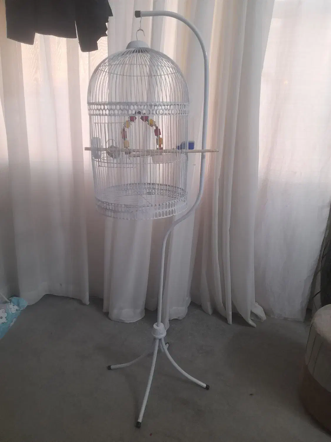 قفس پرنده|لوازم جانبی حیوانات|نیشابور, بنیاد شهید|دیوار