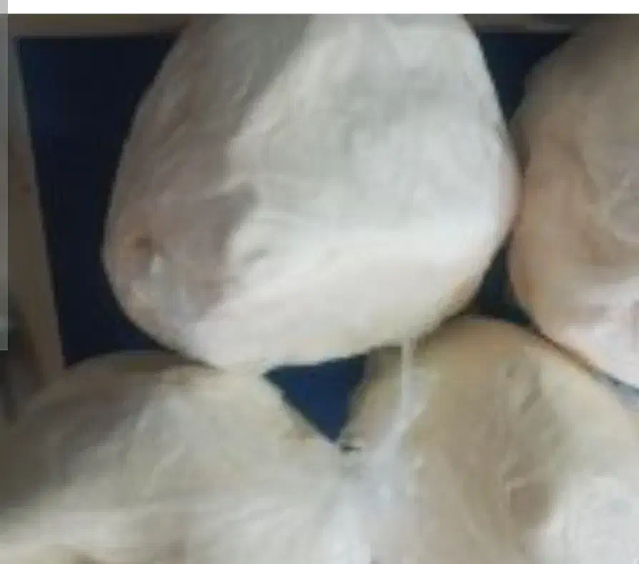 کره گاوی|خوردنی و آشامیدنی|نیشابور, شهرک رسولی|دیوار