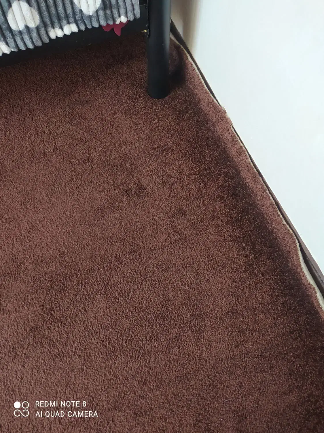 ۲عدد موکت ۱۲متری پرزبلند و طرح دار ظریف مصور|موکت|دزفول, |دیوار