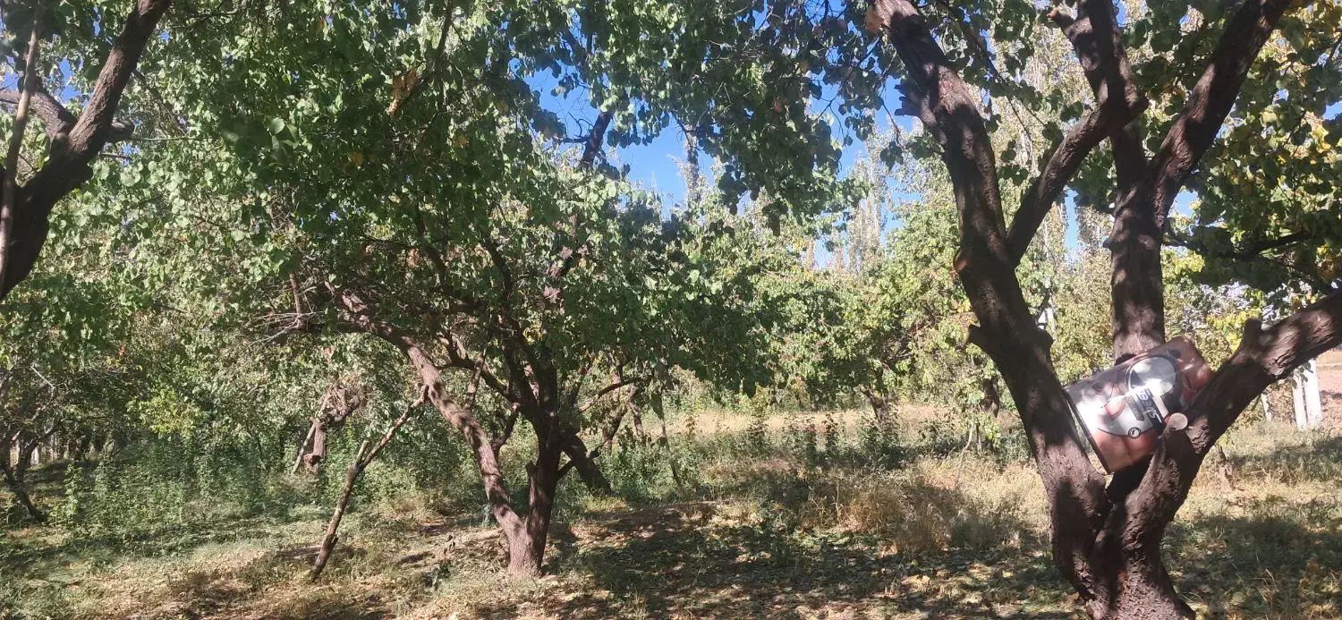 قطعه باغ واقع در دیزج حسین بیگ به مساحت ۵۰۰۰ متر|فروش زمین و ملک کلنگی|کشکسرای, |دیوار