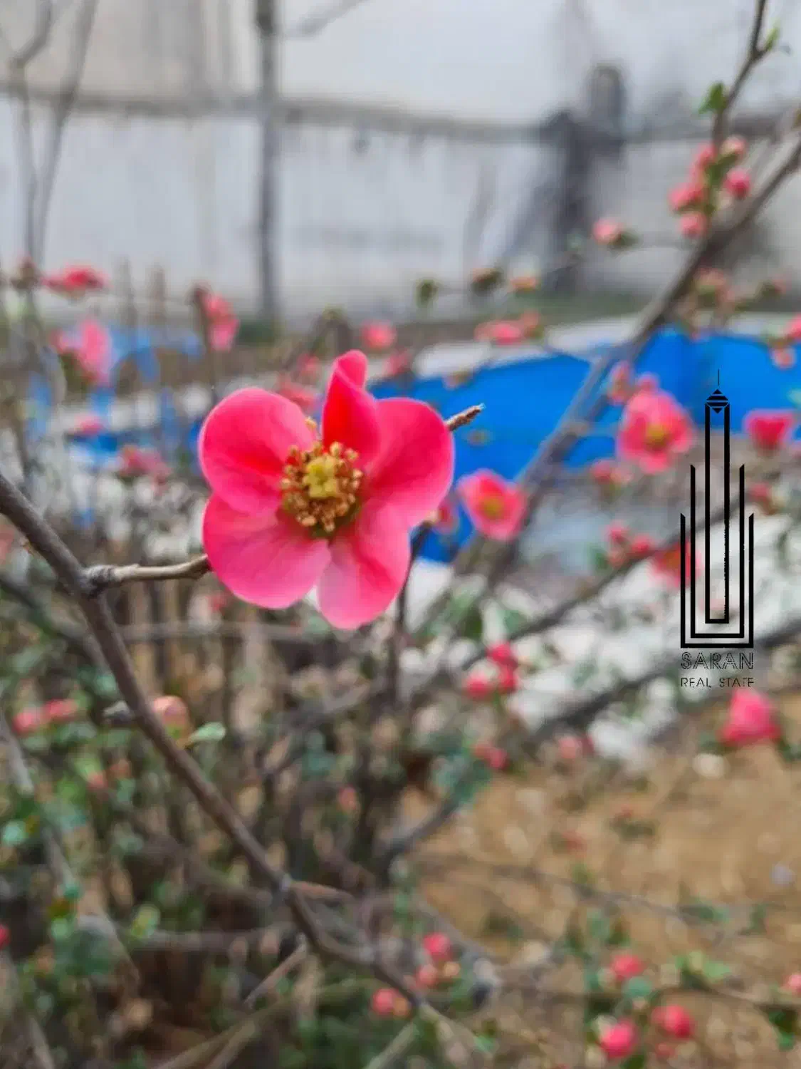 235متر  .30متر تراس .حیاط مستقل .نفت شمالی