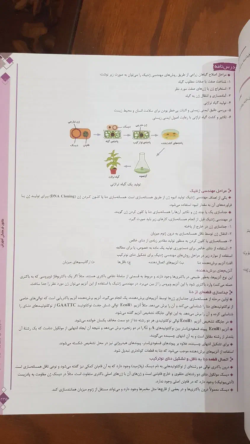 کتاب زیست شناسی قلم چی پایه دوازدهم سال 1404|کتاب و مجله آموزشی|رودهن, |دیوار