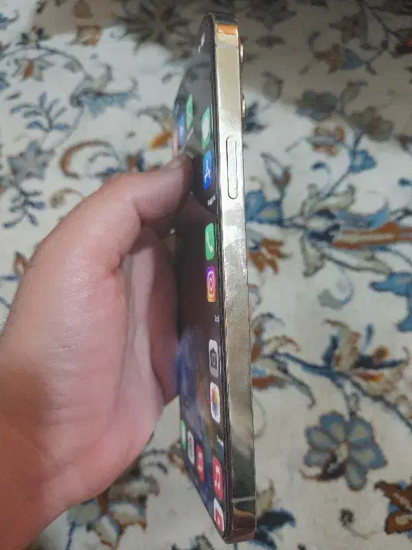 ایفون ۱۳ پرومکس ۲۵۶ گیگ|موبایل|فردیس, شهرک وحدت|دیوار