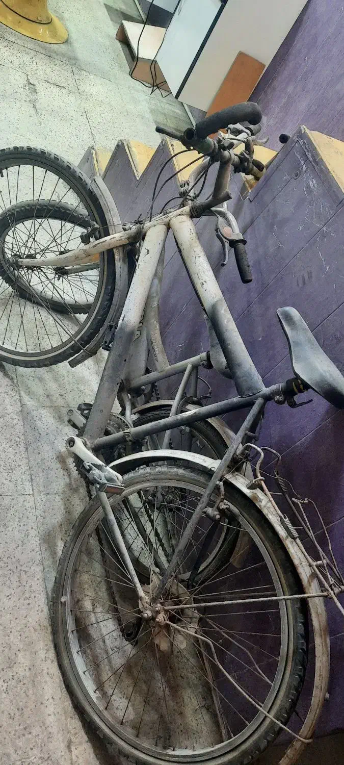 دوچرخه ۳عدد|دوچرخه، اسکیت، اسکوتر|بجنورد, |دیوار