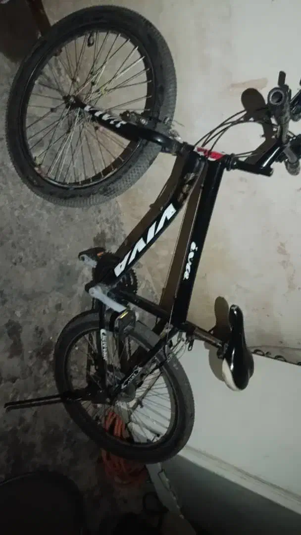 دوچرخه 24|دوچرخه، اسکیت، اسکوتر|شیراز, سعدیه جنوبی|دیوار