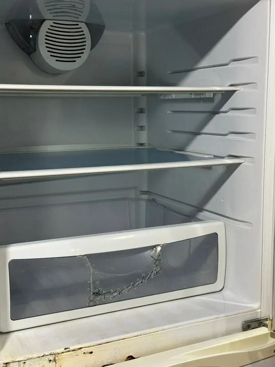 یخچال سالم دو قلو اسنوا تخفیفم داره|یخچال و فریزر|دوگنبدان, |دیوار