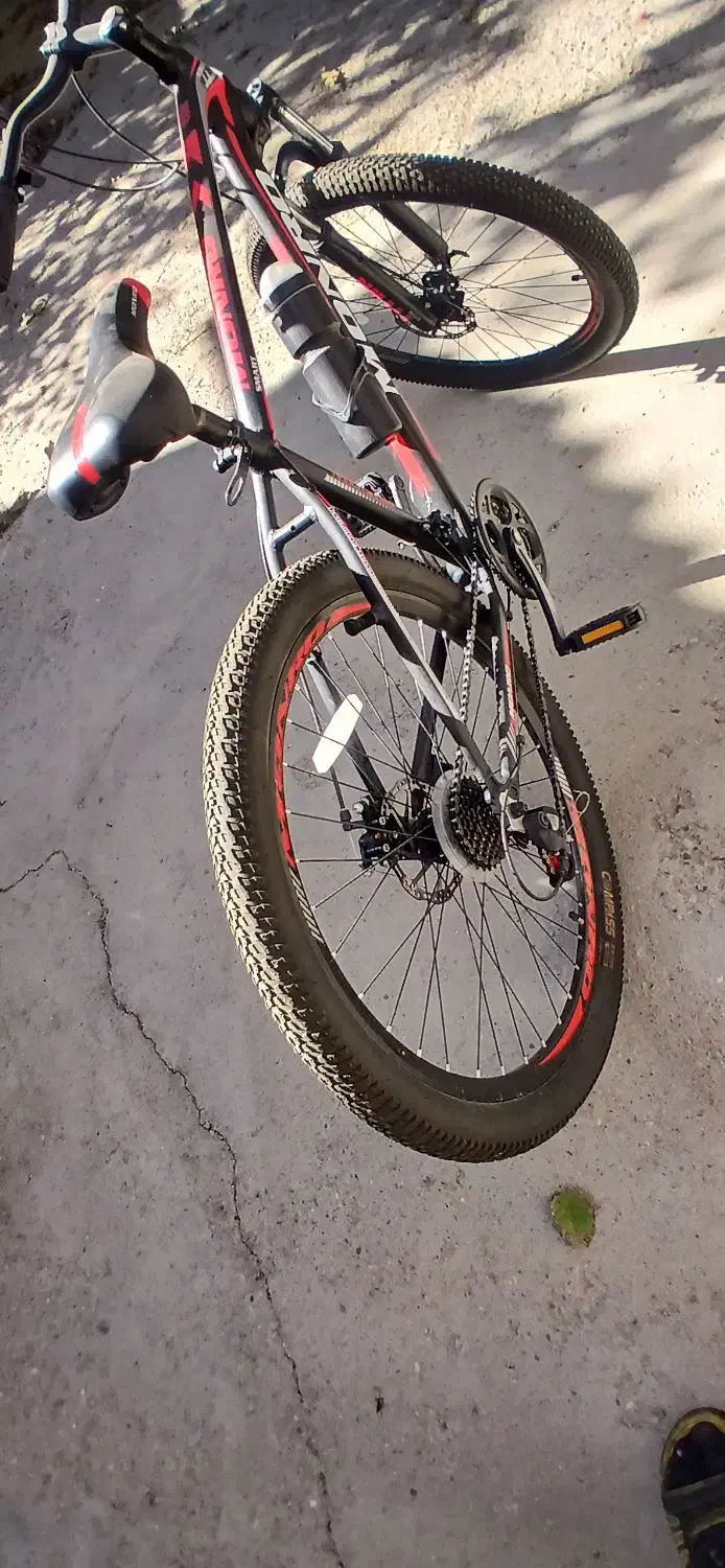 دوچرخه نوع نوع|دوچرخه، اسکیت، اسکوتر|قیدار, |دیوار