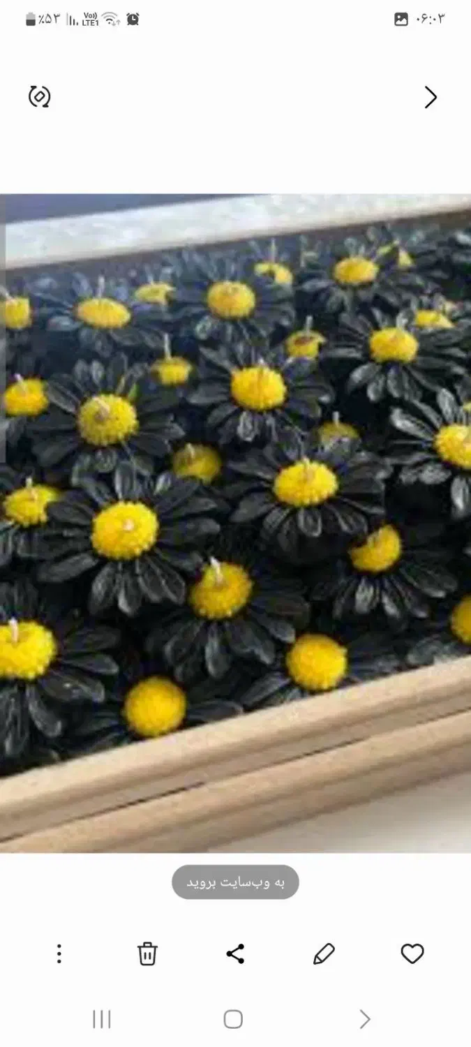 شمع گل دست ساز سازهی سنگی هفت سین باکس گل|گل مصنوعی|گلستان (تهران), |دیوار