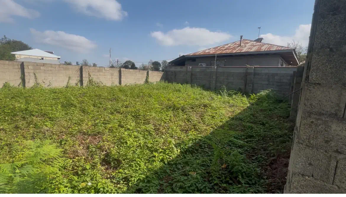 ۲۰۰ متر زمین مسکونی گوراب زرمیخ|فروش زمین و ملک کلنگی|گوراب زرمیخ, |دیوار