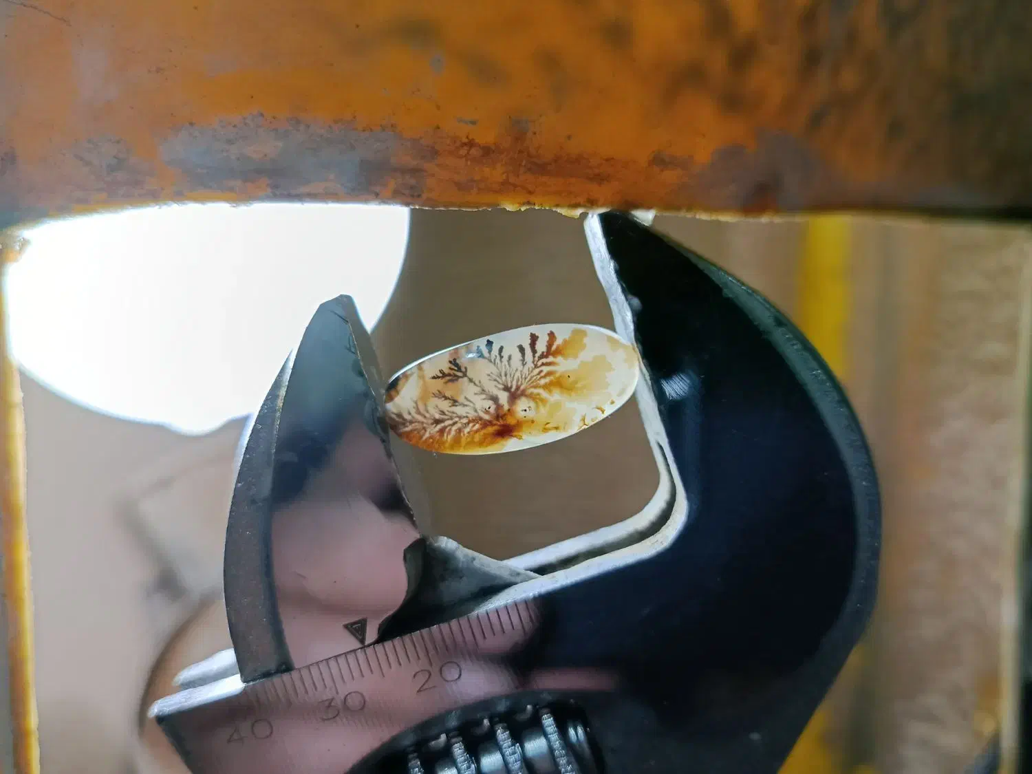 نگین شجر قائن|کلکسیون اشیاء عتیقه|قم, هنرستان|دیوار