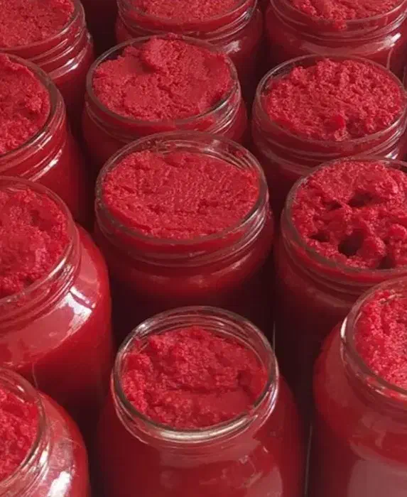 رب گوجه فرنگی خانگی اعلا|خوردنی و آشامیدنی|دهگلان, |دیوار