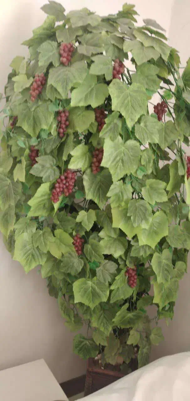 درختچه انگور|گل مصنوعی|دزفول, |دیوار