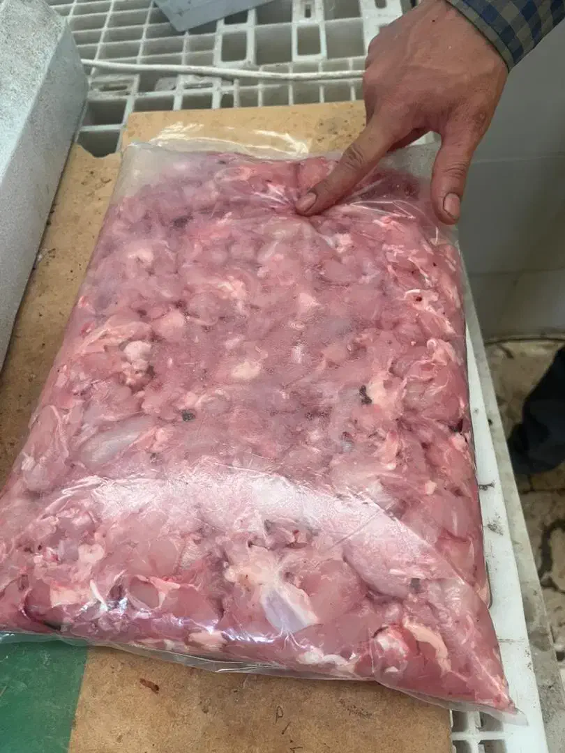 بچه فیله|خوردنی و آشامیدنی|تهران, بریانک|دیوار