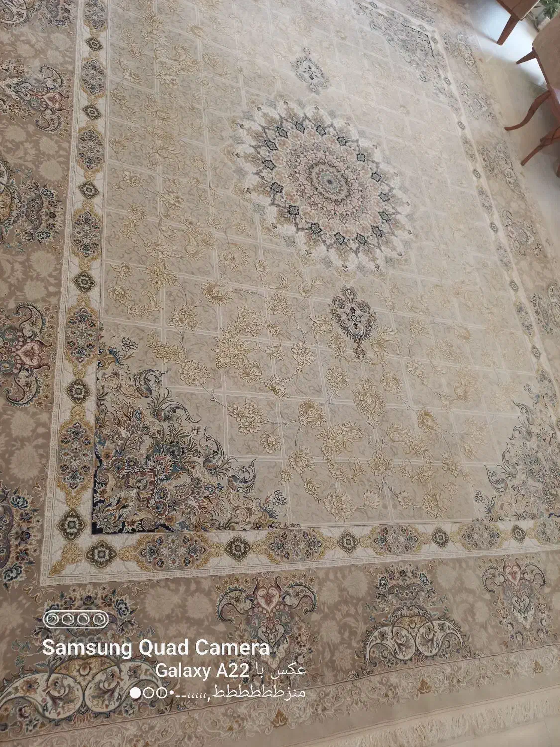 فرش۴×۳|فرش|شاهرود, |دیوار