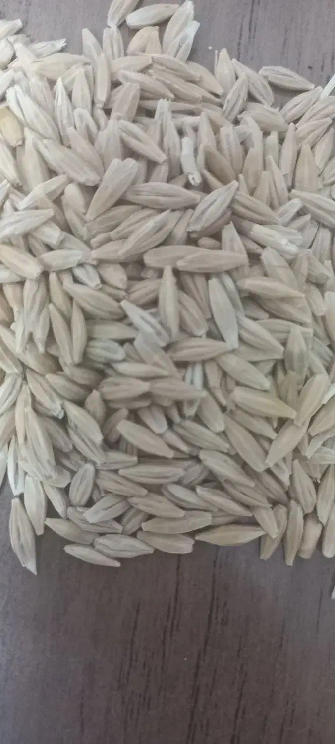 جو بهاره|خدمات باغبانی و درختکاری|فاروج, |دیوار