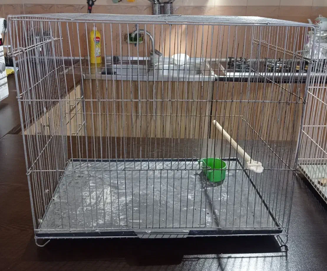 قفس پرنده همراه با همه لوازمات جانبی برای پرنده|لوازم جانبی حیوانات|مشهد, امیریه|دیوار