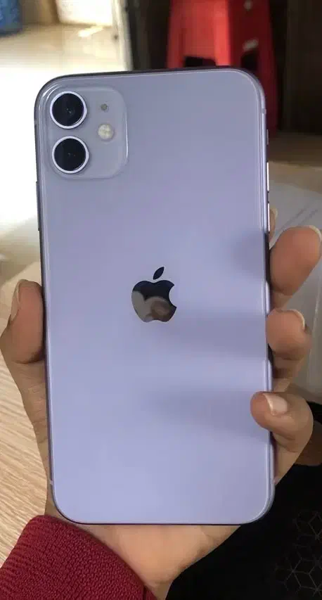 Iphone 11 - آیفون ۱۱|موبایل|شیراز, آزادی|دیوار