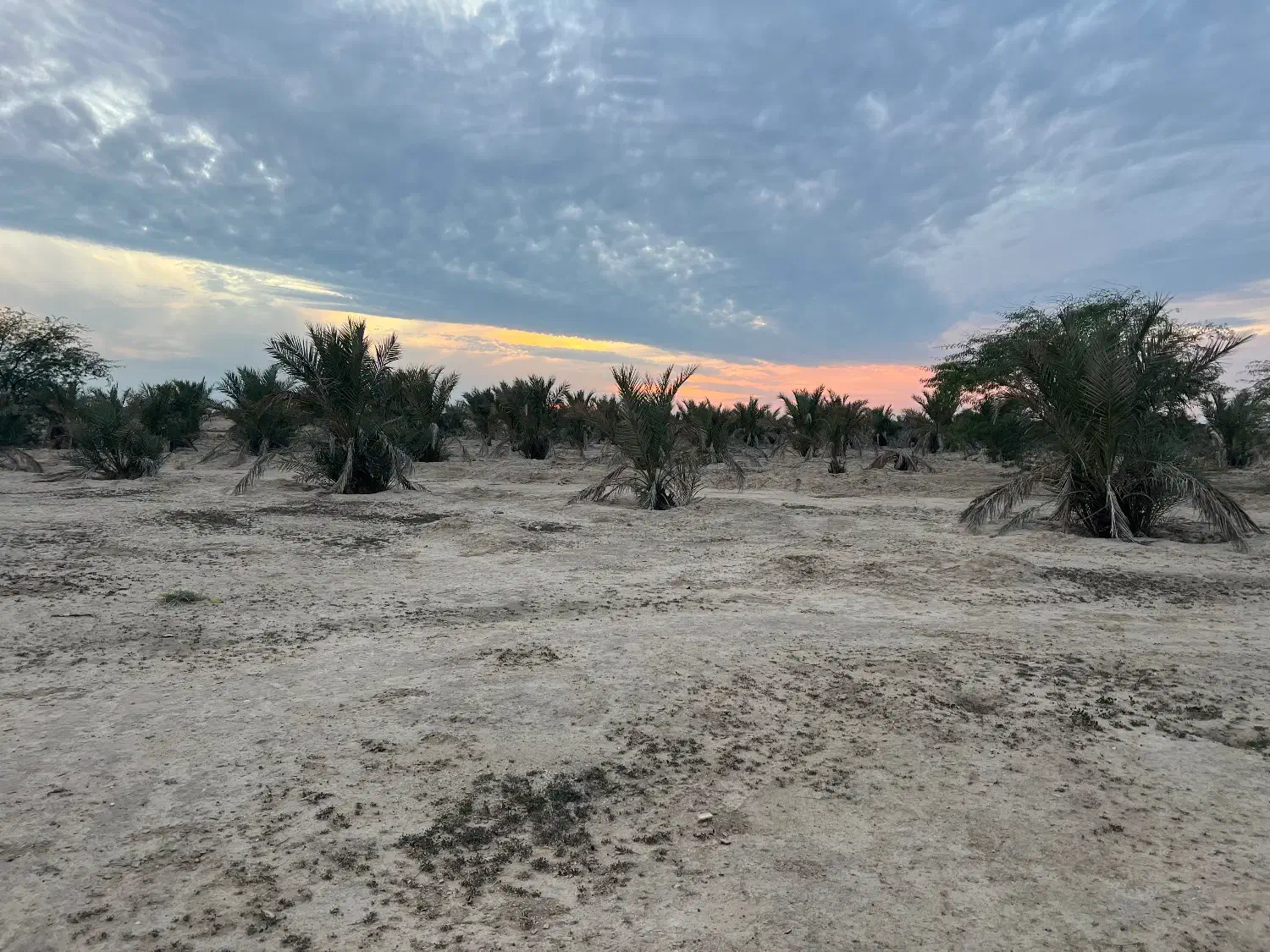 استخدام کارگر|استخدام صنعتی، فنی، مهندسی|برازجان, |دیوار