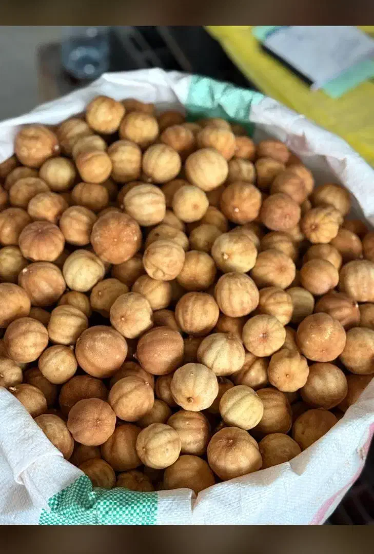 لیمو خشک|خوردنی و آشامیدنی|سندرک, |دیوار