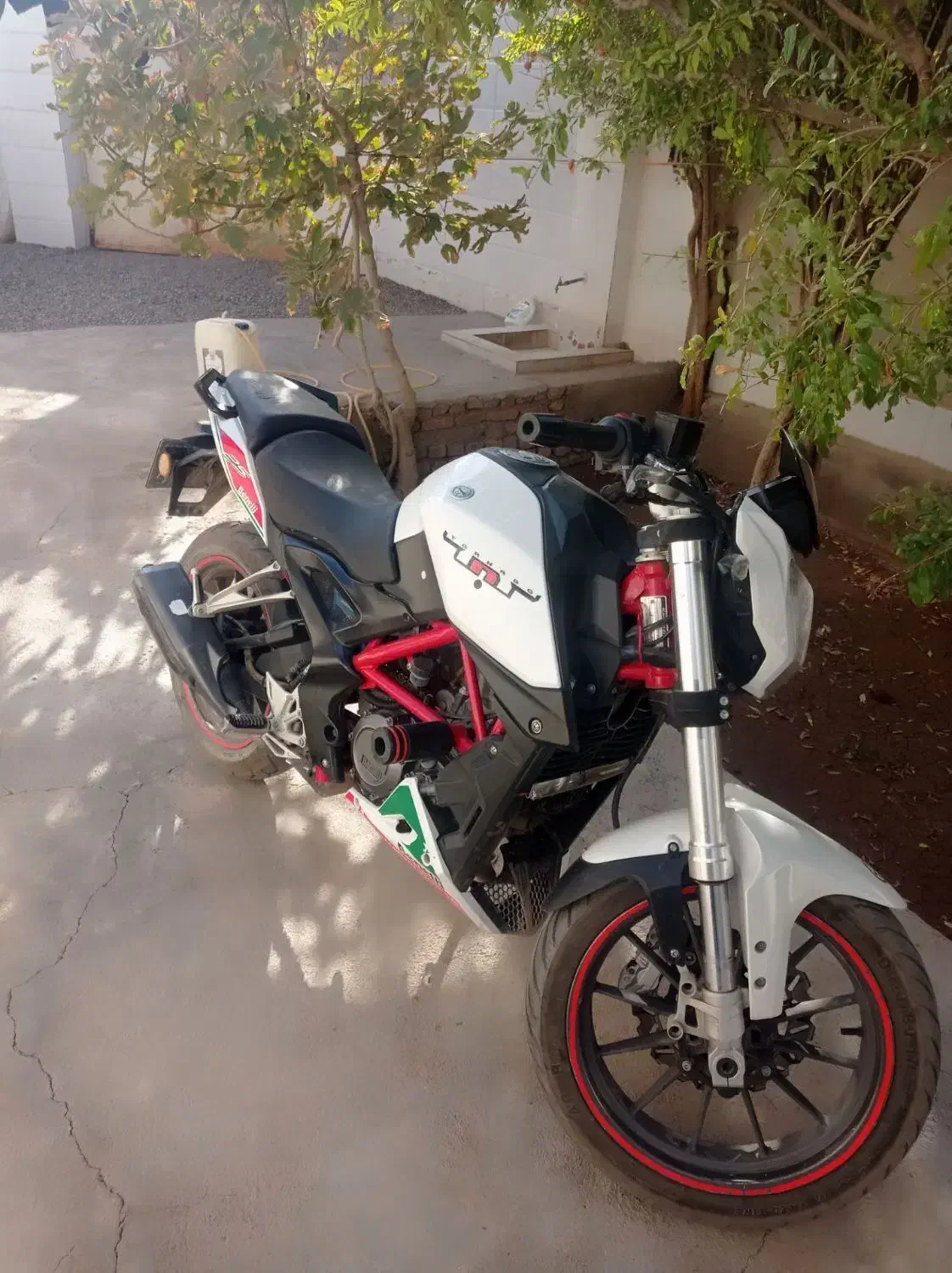 بنلی ۲۵۰فروشی|موتورسیکلت|تربتحیدریه, فردوسی جنوبی|دیوار