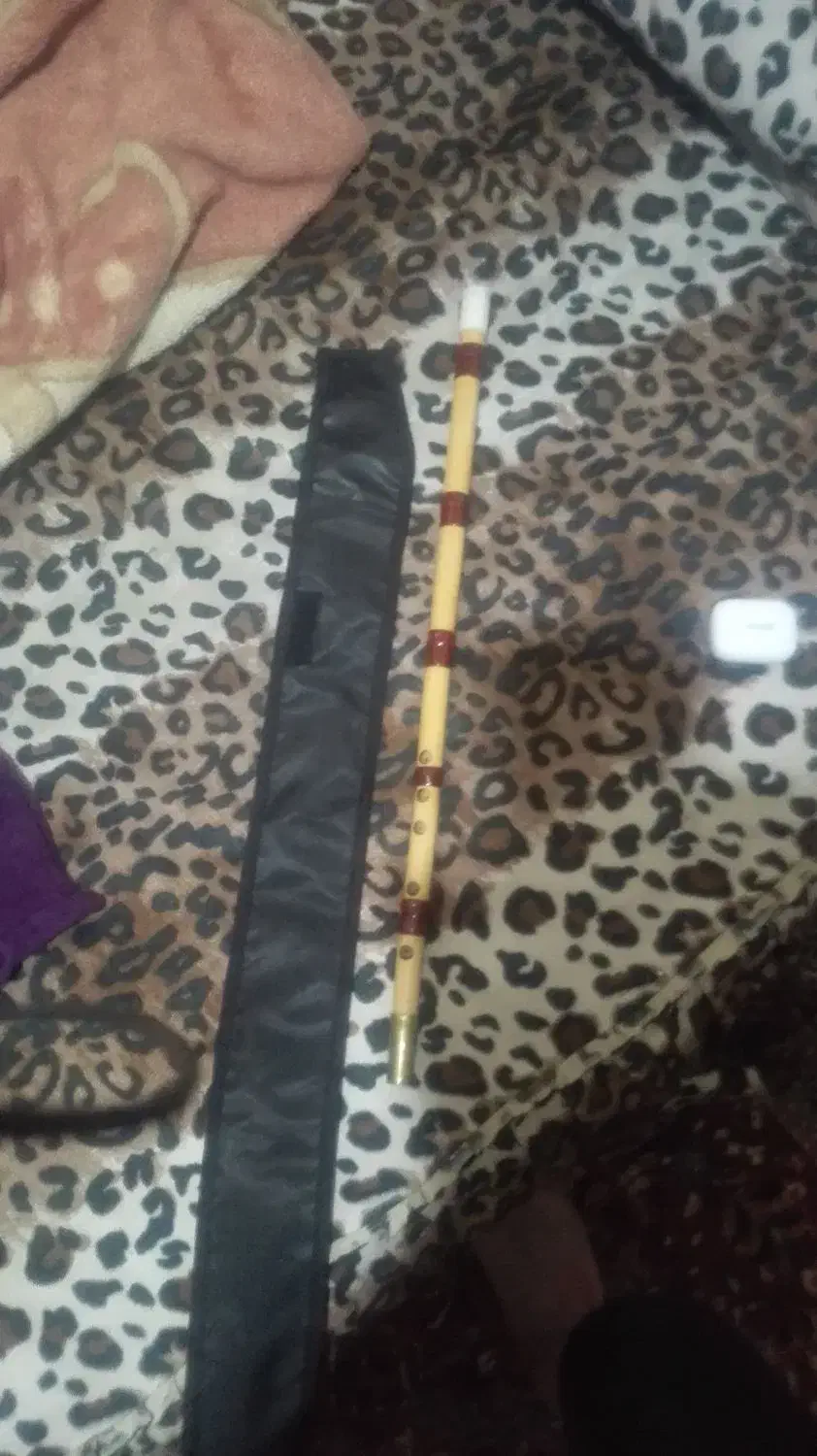 ساز نی|سازهای بادی|اهواز, گلستان|دیوار