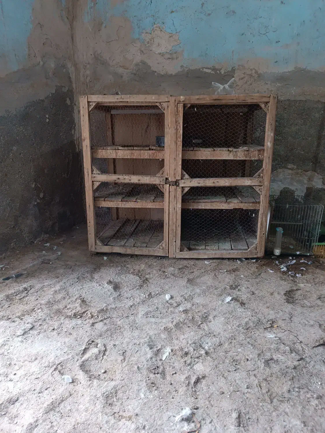 قفس کفتر|لوازم جانبی حیوانات|قم, نخودی|دیوار