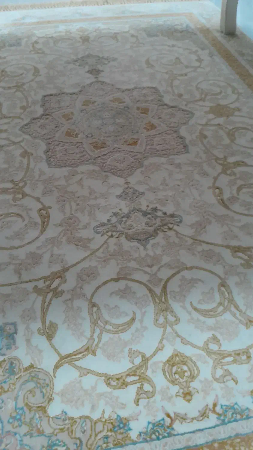 فرش|فرش|رضوانشهر, |دیوار