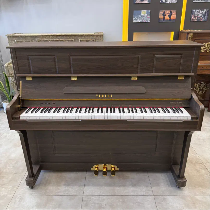 Ydp143 pro|پیانو، کیبورد، آکاردئون|شیراز, فرهنگ شهر|دیوار