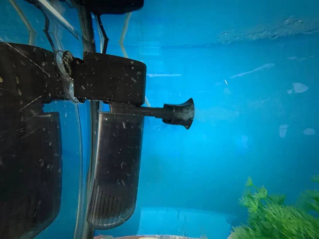 آکواریوم شیشه خم|ماهی|مشکیندشت, |دیوار