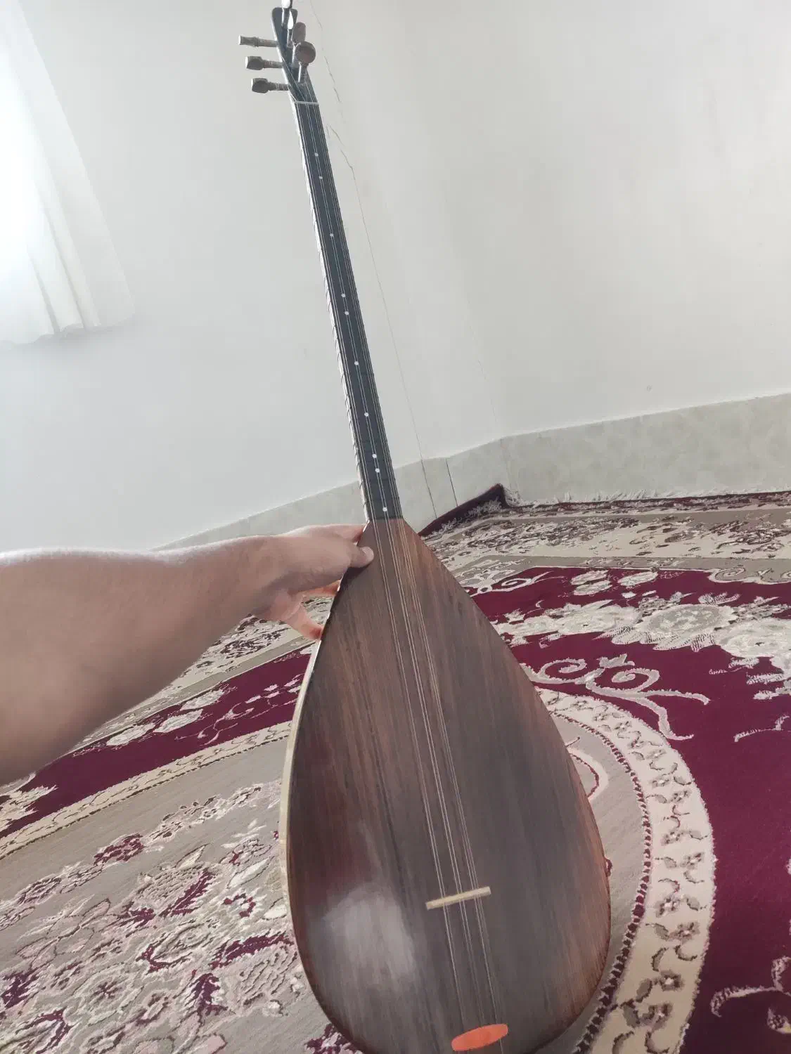 باغلما|سازهای سنتی|سردشت, |دیوار