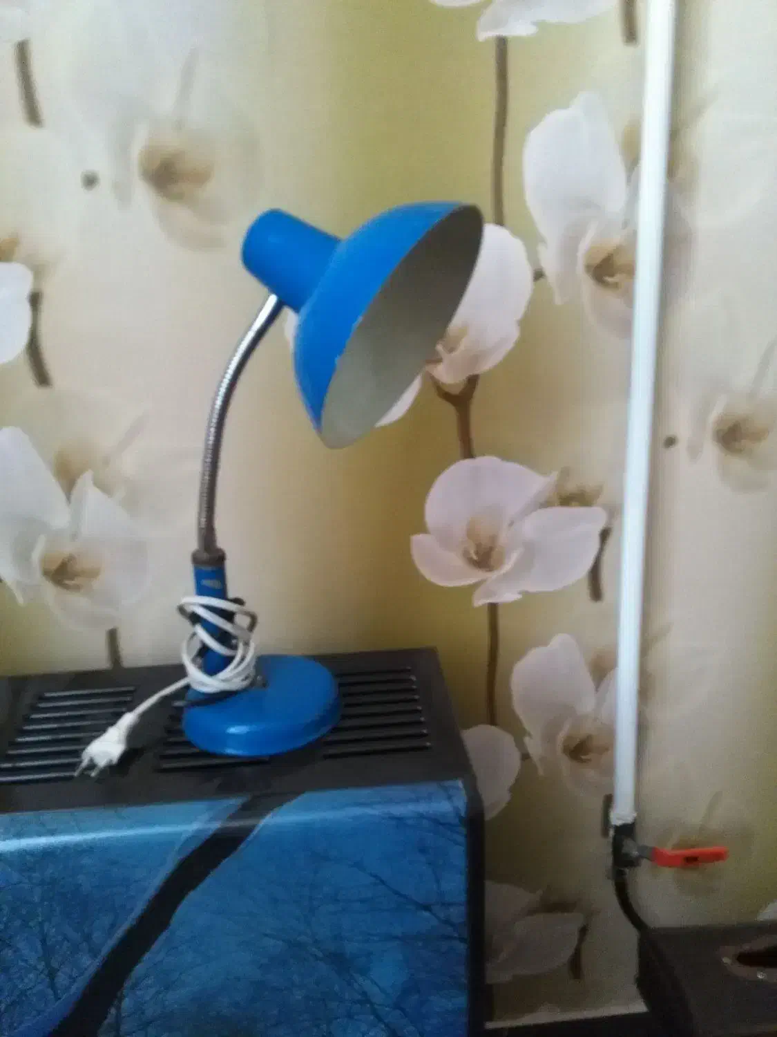 چراغ مطالعه|چراغ خواب و آباژور|شاهرود, |دیوار