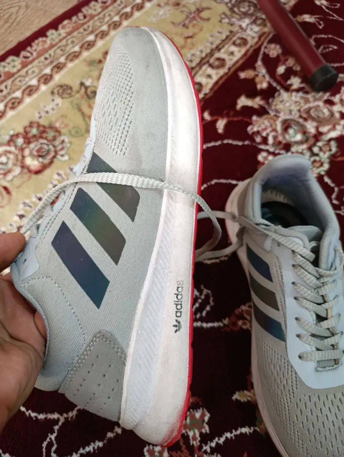 کفش پارچه ای آدیداس|کیف، کفش، کمربند|سراب, |دیوار