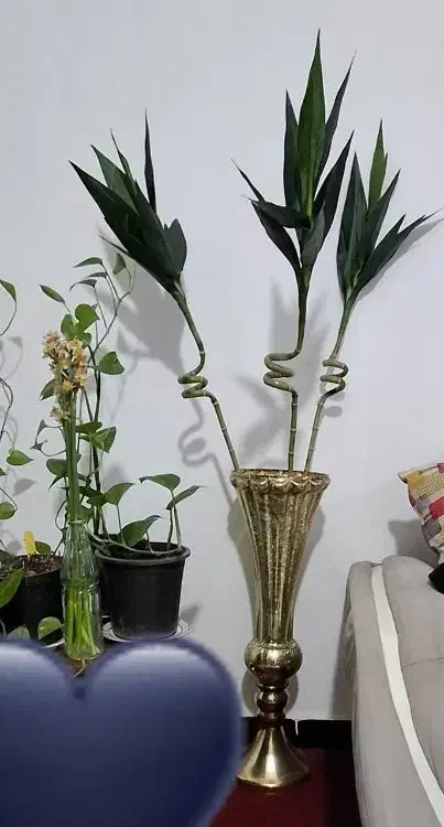 گل و گلدان|گل مصنوعی|بندر ماهشهر, |دیوار