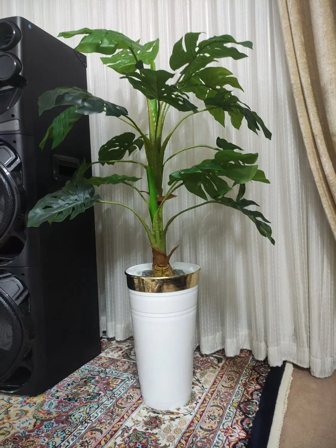 درختچه برگ انجیری مصنوعی|گل مصنوعی|بروجرد, |دیوار