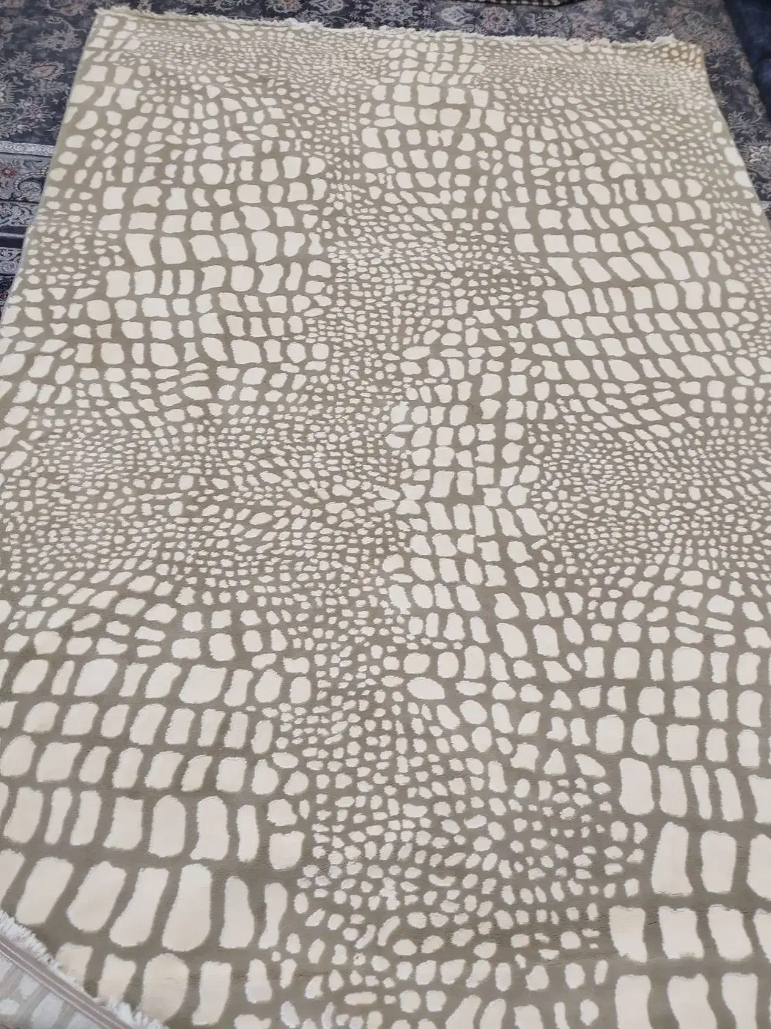 کیان شهر|فرش|اهواز, کیانشهر|دیوار