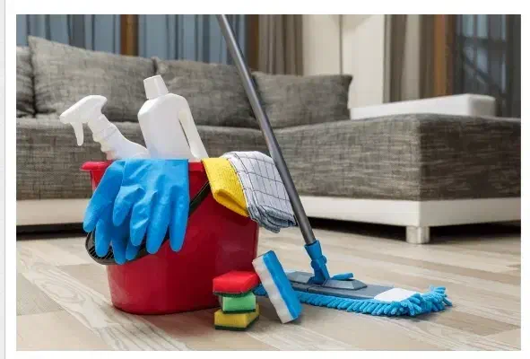 نظافت منزل توسط اقا|خدمات نظافت|سلمان‌شهر, |دیوار