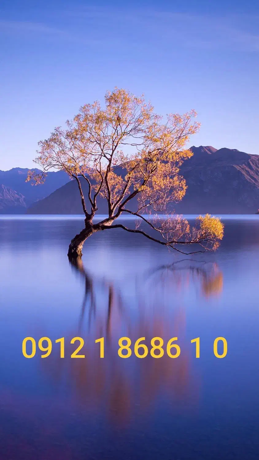 خط رند 912|سیم‌کارت|تهران, شهرک غرب|دیوار
