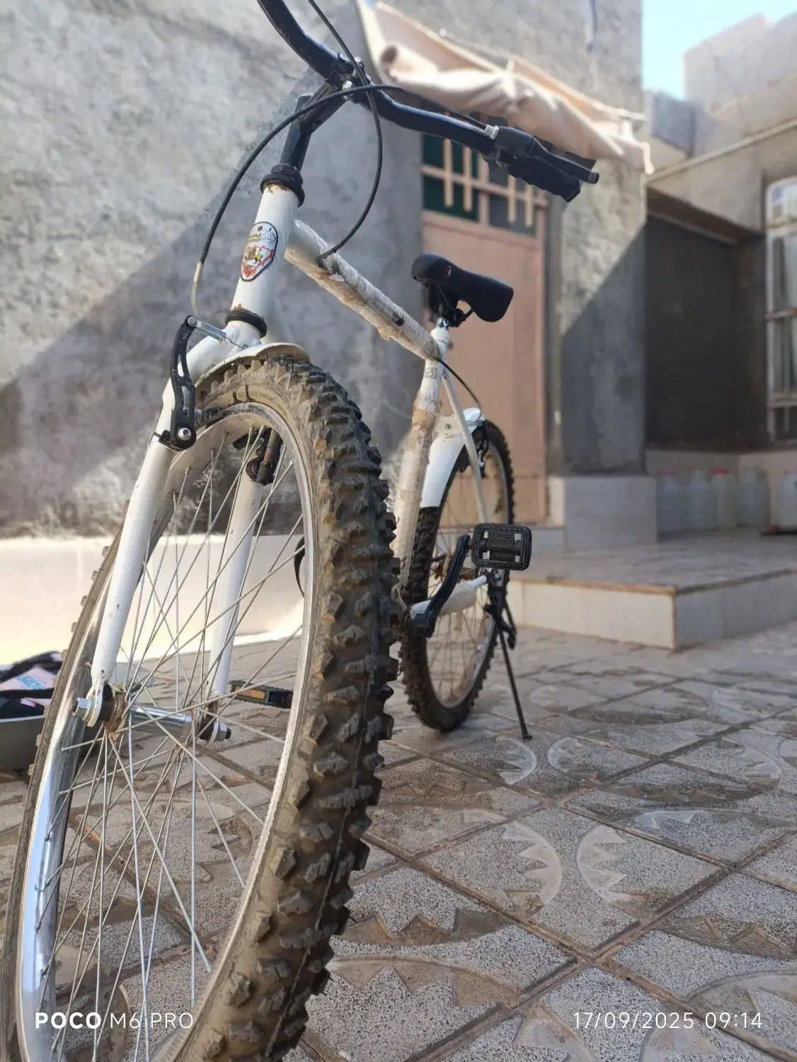 دوچرخه دماوند|دوچرخه، اسکیت، اسکوتر|تربت جام, جامرود|دیوار