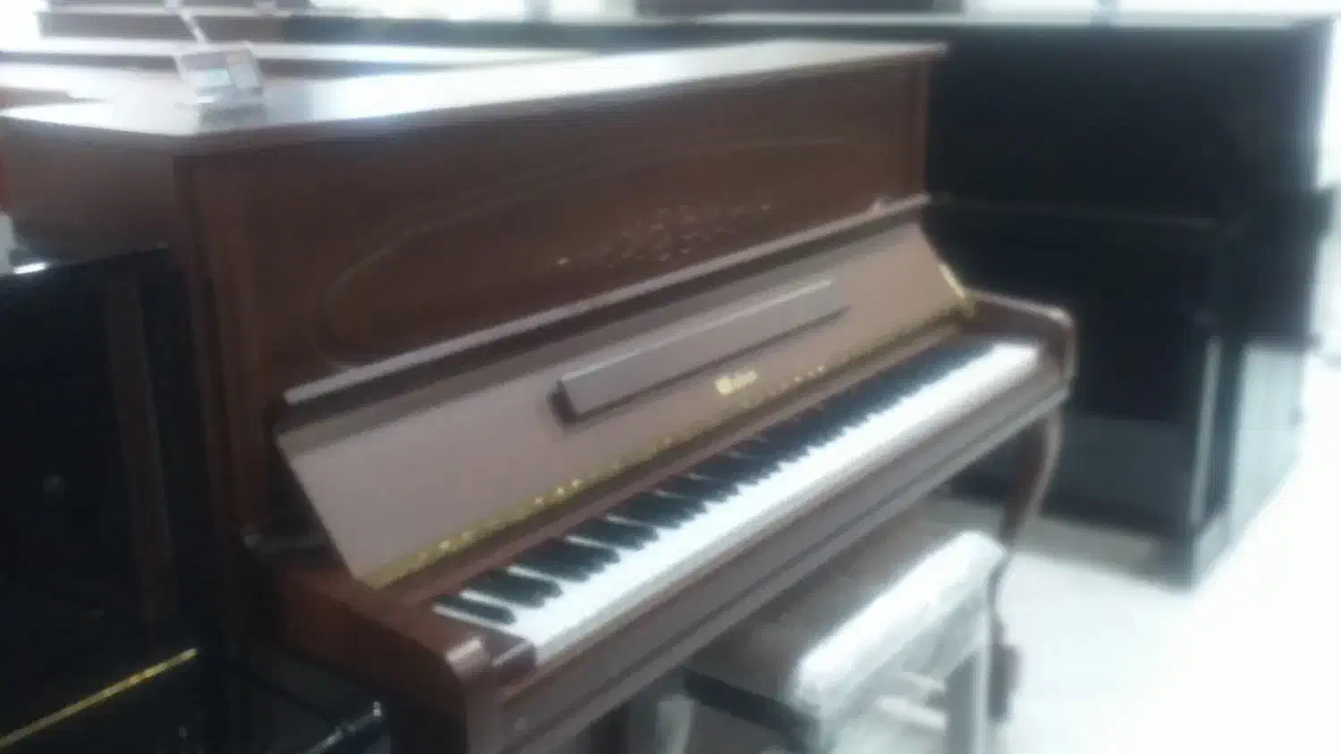فروش پیانوهای دیجیتال و آکوستیک با شرایط خاص|پیانو، کیبورد، آکاردئون|شیراز, دینکان|دیوار