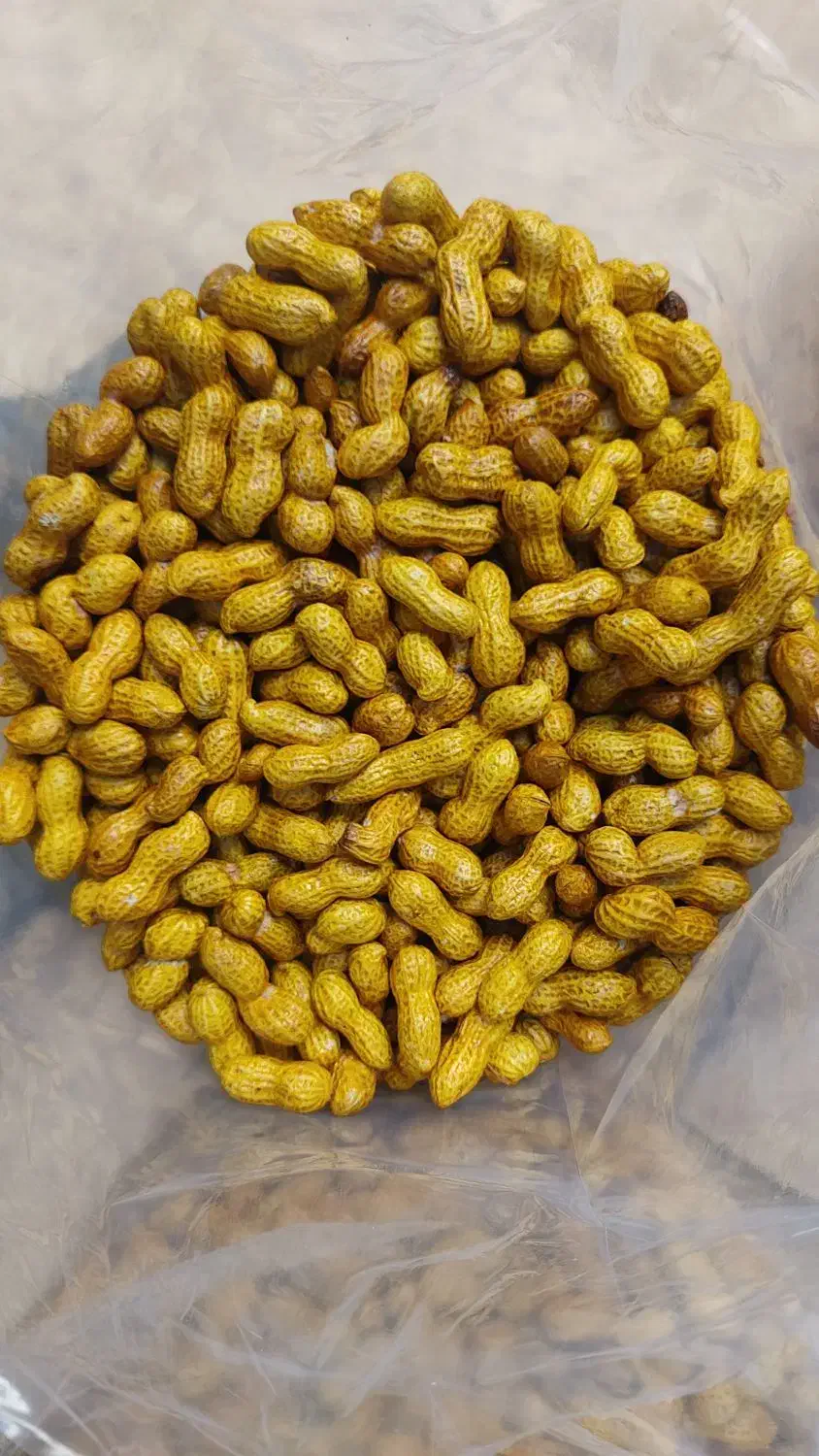 بادام زمینی فروش عمده|عمده‌فروشی|بوکان, |دیوار