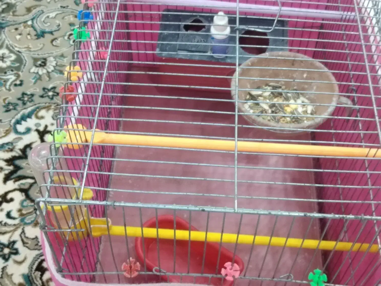 قفس پرنده|لوازم جانبی حیوانات|شیراز, شهرک مفتح|دیوار