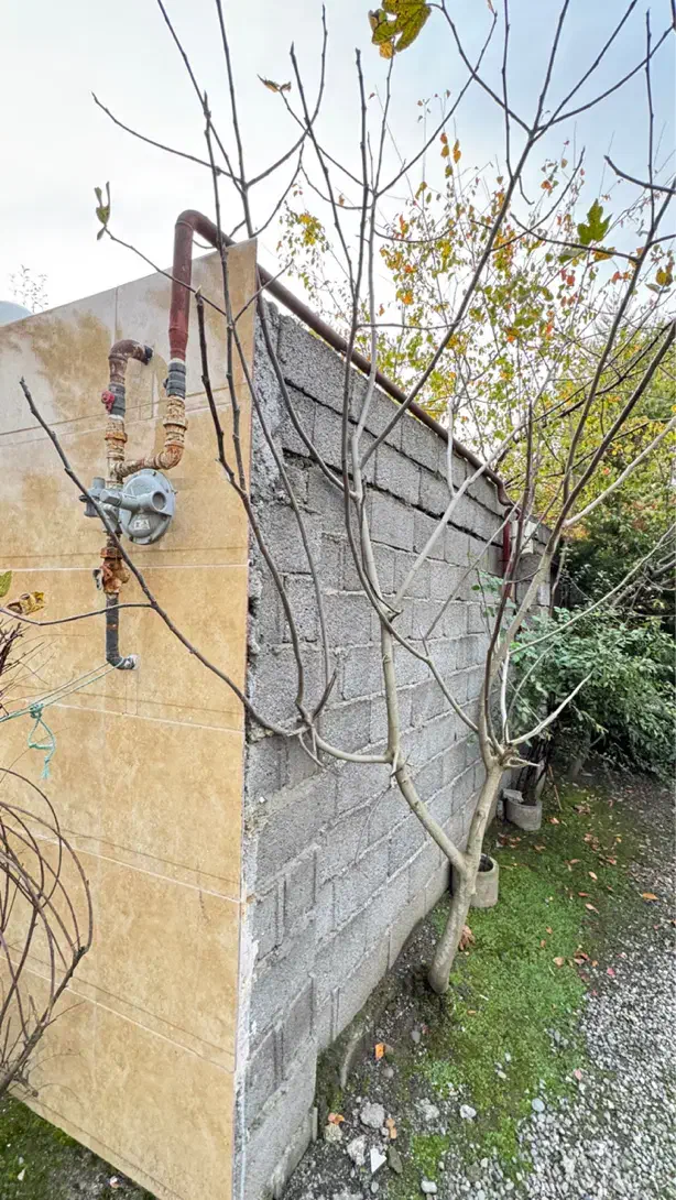 ویلا باغ ۳۰۰ متری سند تکبرگ با ۸۰ متر بنا دو خواب|فروش خانه و ویلا|رشت, بلوار گیلان|دیوار