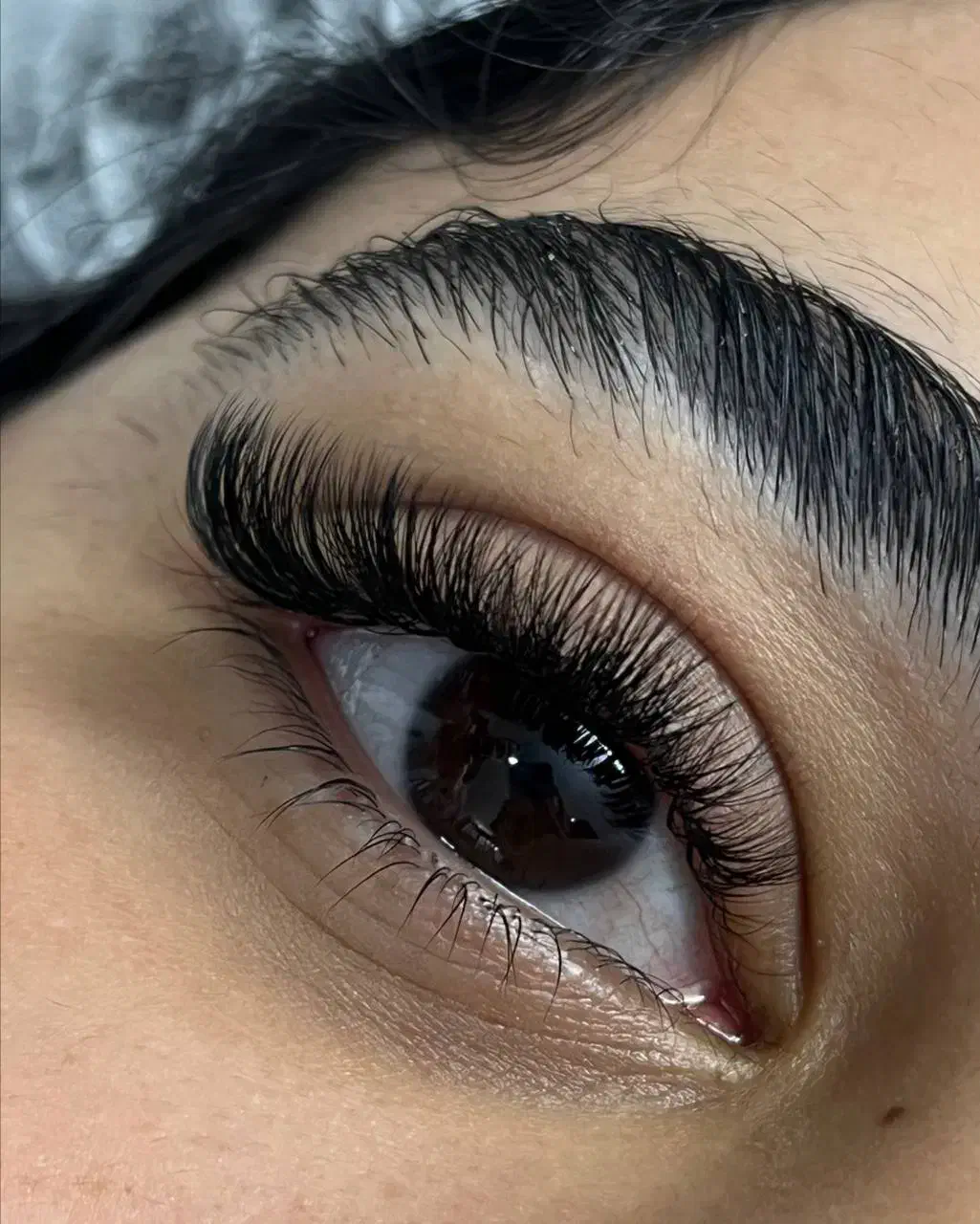 اکستنشن و اموزش|خدمات آموزشی|بیرجند, |دیوار