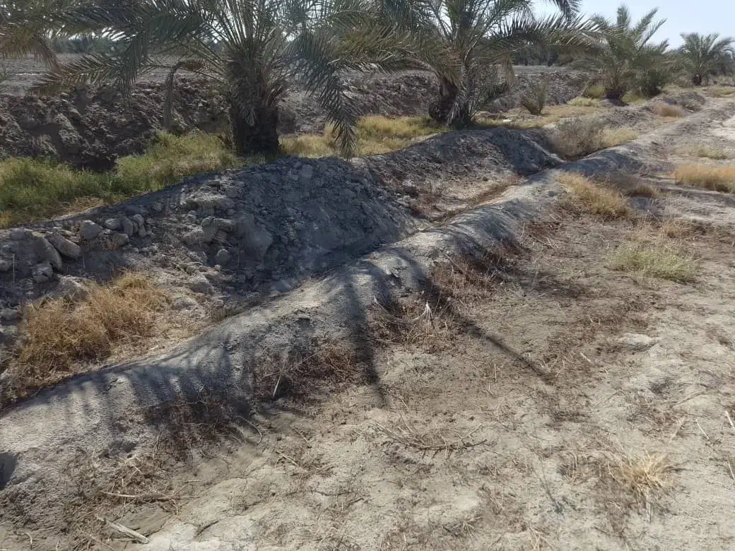 فروش زمین کشاورزی 4000متر|فروش دفتر صنعتی، کشاورزی، تجاری|ایرانشهر, |دیوار