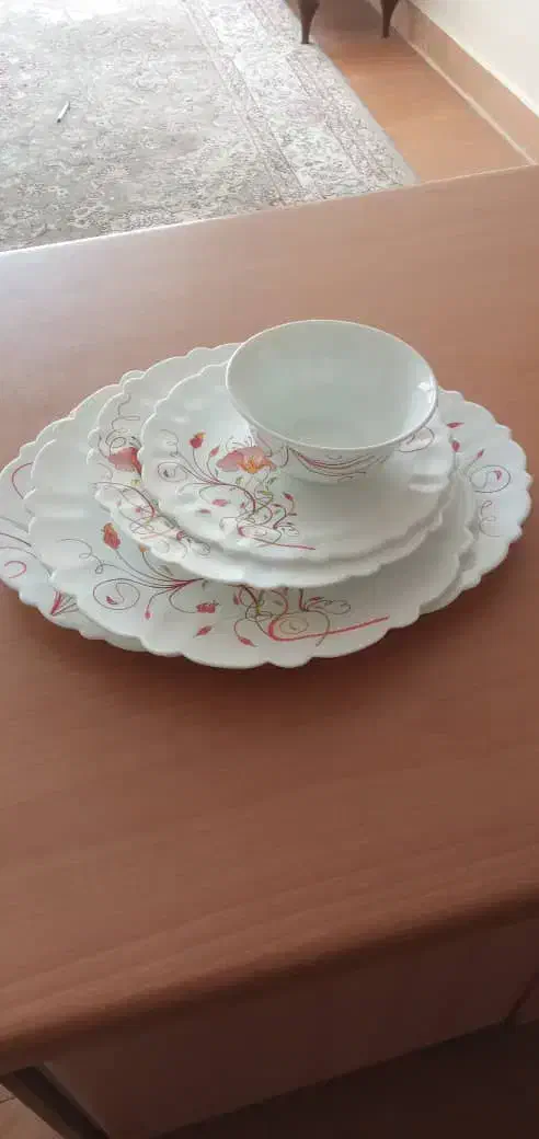 ظرف چینی ارکوپال|ظروف سرو و پذیرایی|شاهینشهر, شهرک هشت بهشت|دیوار