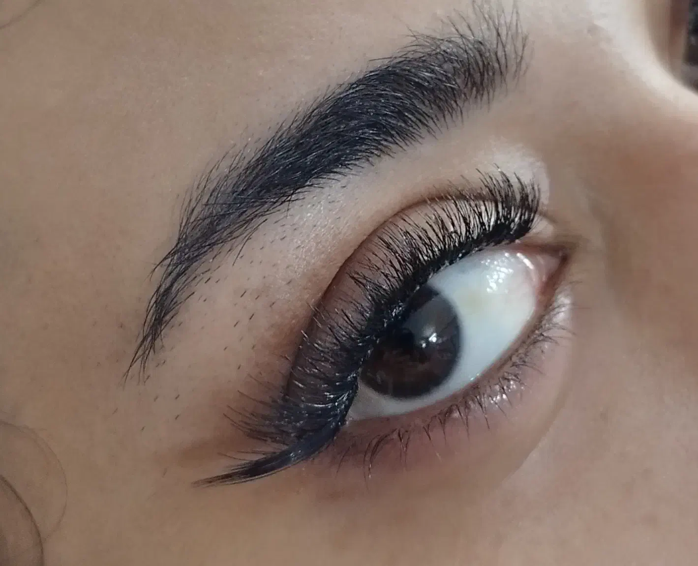 تخفیف کاشت مژه و لیفت ابرو|خدمات آرایشگری و زیبایی|بم, |دیوار