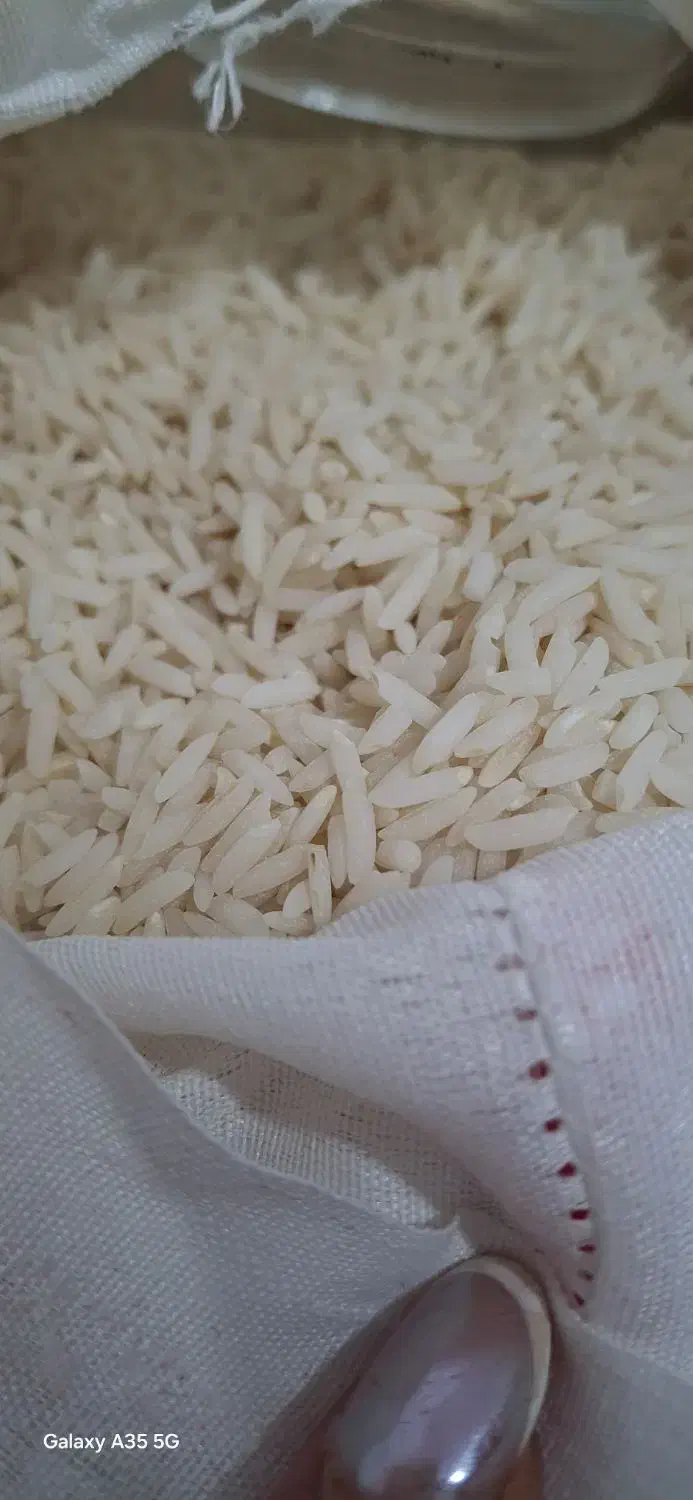 برنج شمال هاشمی|خوردنی و آشامیدنی|سنندج, |دیوار